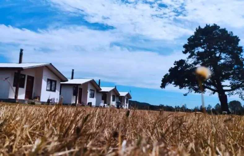 cabañas lanco panguipulli